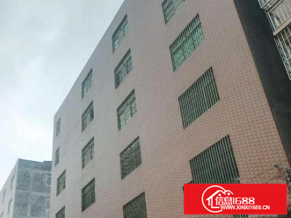 大岭山房东一手厂房出租，交通方便，有电梯。