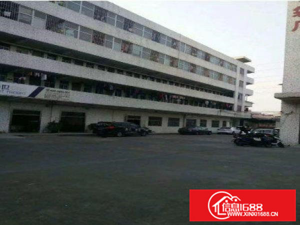 常平九江水新出6000平米4层独院厂房招租