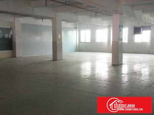新出标准一楼1300平工业厂房出租带办公室装修