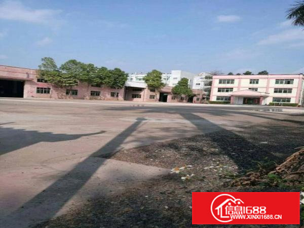 金凤凰工业区八米高带牛角厂房仓库出租面积2100平