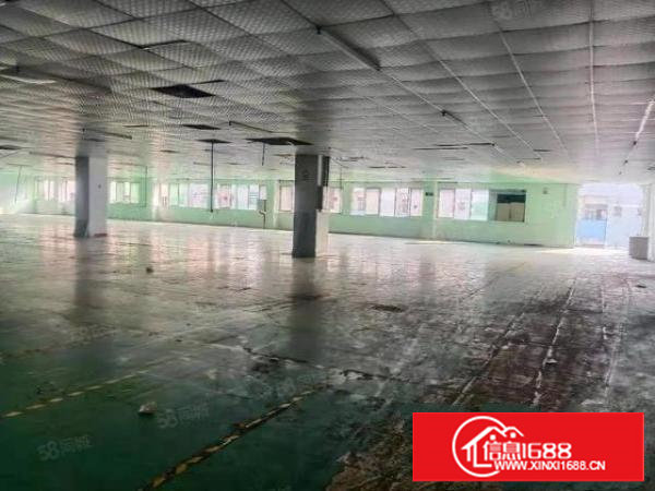 长安镇厦岗社区房东直租标准独院3580平空地大,交通方便