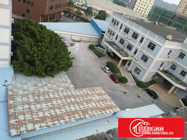 出租茶山镇独院26840平方三层厂房