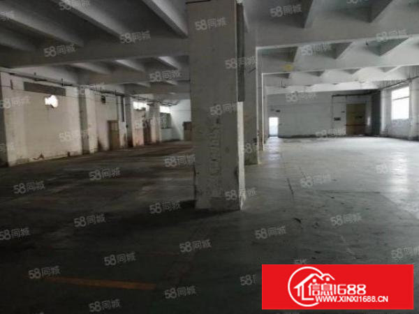 厂房招租近清平高速有电梯有车位