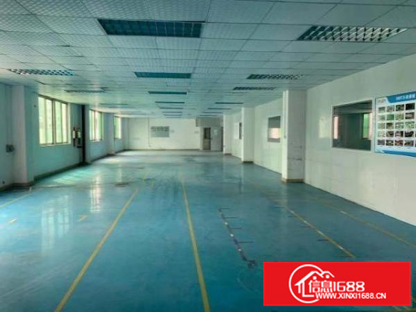 出租龙岗区平湖山厦杉坑工业区无尘车间