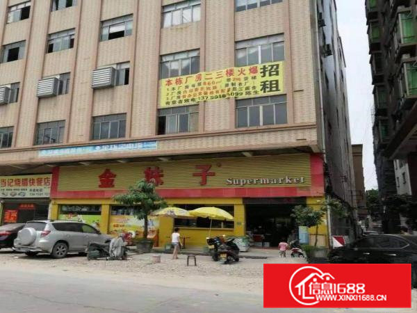 白沙四村中心路45号金妹子楼上带装修水电主线路到车间