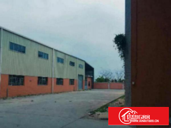 万江滘联独院单一层九米高全新厂房4300平方出租