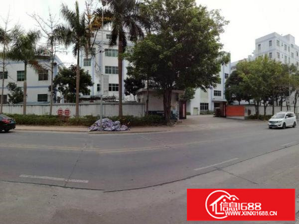 龙岗原房东厂房仓库办公室宿舍招租