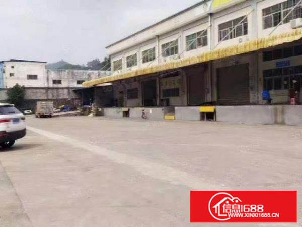 龙背岭新出10米高钢构厂房，带卸货平台豪华装修，拎包即可入驻
