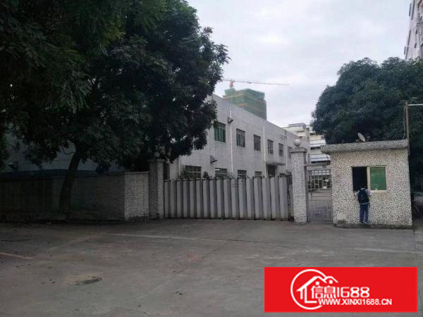 S南联独院厂房2500平方可分租