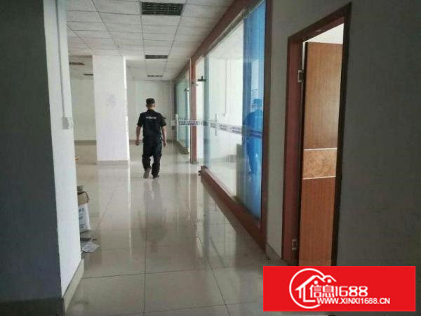 坂田杨美上雪科技园带装修800平米