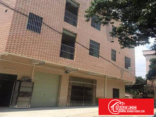 大朗沙步独栋3层900平方小厂房特价10元急租