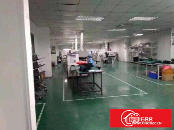 出租宝安区石岩应人石村委现成装修厂房800平方