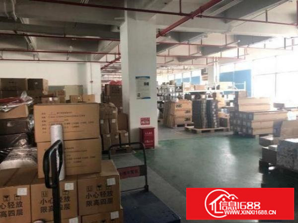 龙华大浪商业中心附近新出高新园4-6楼带红本