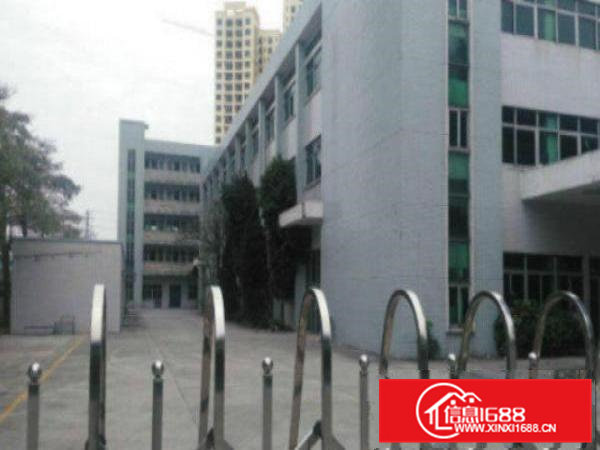 高埗4500平方独院标准厂房出租精装修办公室600平方，