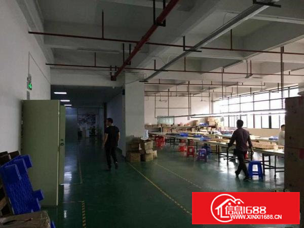 凤岗雁田怡安附近精装修厂房出租1140平水电齐全