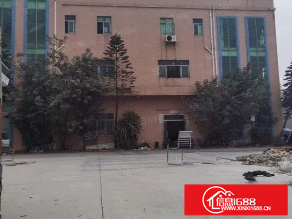 虎门白沙独立厂房2500左右带办公室出租任意分租