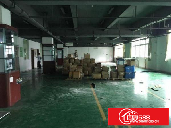 龙岗区龙岗出租楼上带豪华装修标准厂房300平方