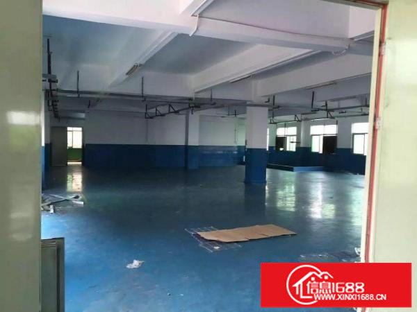 龙岗宝龙科技园独门独院3000平米带装修.形象好