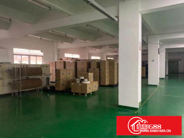 龙岗南联300-2000平方厂房、仓库出租