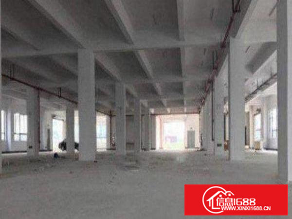 独院两层厂房出租面积1800平方出租招租