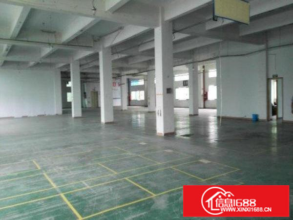 英泰工业区5000m2原房东无公摊厂房招租