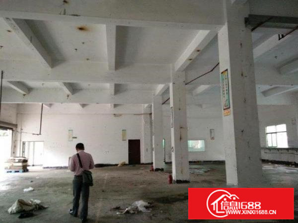 凤岗一楼600到2000平米6.5米高厂房出租