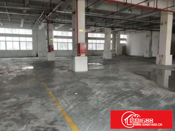 6米高标准一楼1500平米出租凤岗竹塘工业园现成水电办公