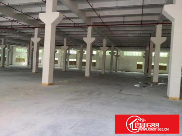 独院可办环评电大容桂标准4000方厂房出租