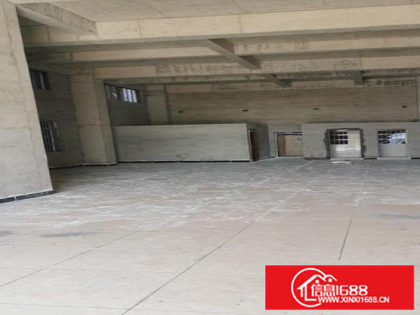 黎贝岭广场全新厂房出租