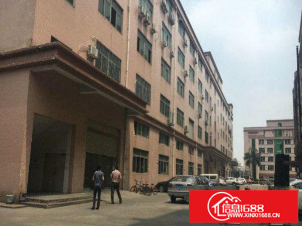 平湖山夏厂房楼上1000平方形象好交通方便