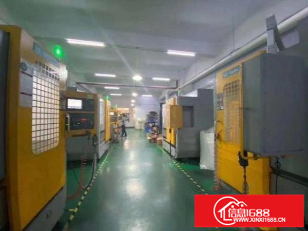 寮步石大路独立厂房仓库一楼现成装修厂房300平方招租