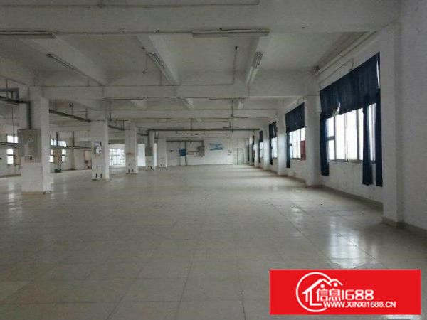 清溪主干道边全新标准独栋厂房17层9660平招租