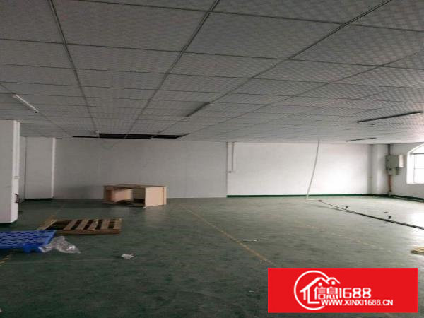 厂房出租石排镇厂房出租黄家坣治安对对面