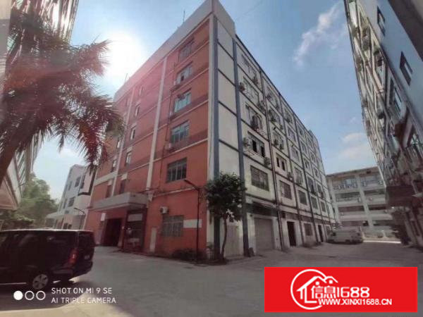 坂田杨美地铁口一楼1000平出租（大小分租）