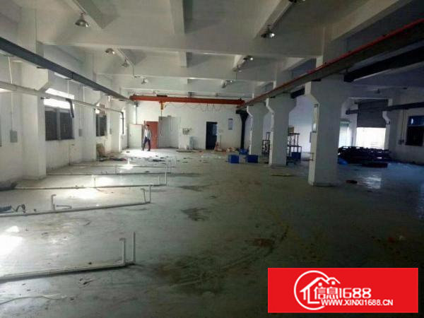 凤岗官井头6米高一楼厂房出租1000平近大运城邦