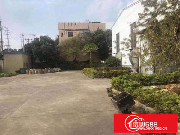 高埗独门独院钢构厂房：单层2000平方，滴水高度7米，水电齐