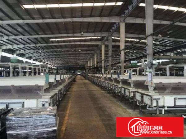 龙岗区8000平米红本钢构高度10米占地10万