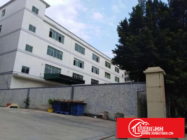 横岗2000平至8500平可分租独院厂房