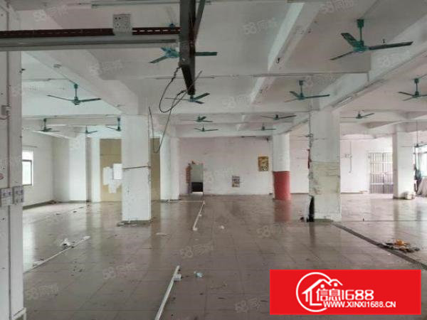 布料市场附近现成装修厂房急租！博美原房东厂房分租四楼650平