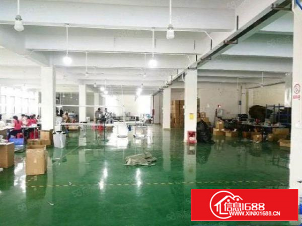 万江蟹地二楼2000平方水电齐全有精装办公室交通便利好招工