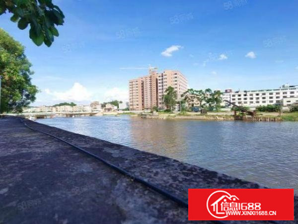 横沥新出特价房一楼800平方