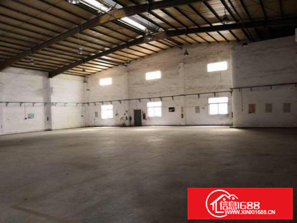 惠州新墟原房东单一层独院厂房2300平方火爆招租400平起租