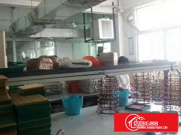 深圳沙井大型环保工业园电镀厂大小分租证照齐全