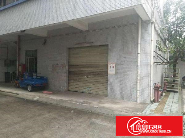 出租龙岗区坂田上雪一楼200平（可做仓库，国际物流，电商）