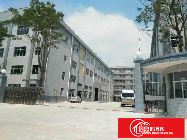 常平上坑新空出独门独院标准4层厂房4100平方