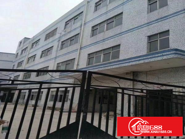 横岗新出独院厂房6500