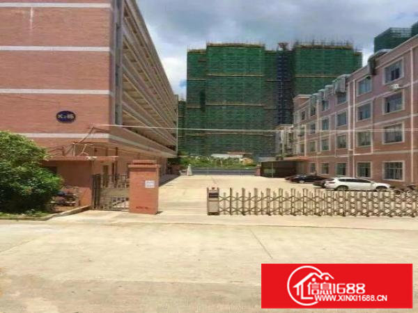 新出独院厂房9100平米火热招租中