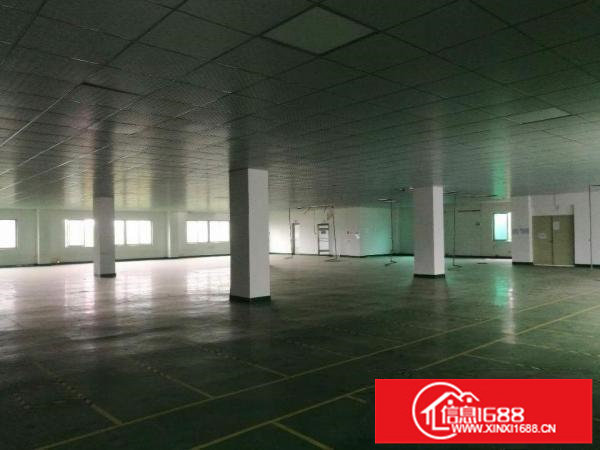 大浪英泰工业区300~500~6000平装修厂房