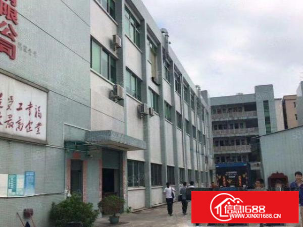 东莞横沥三江工业区原房东独门独院标准厂房6000平方一楼6米