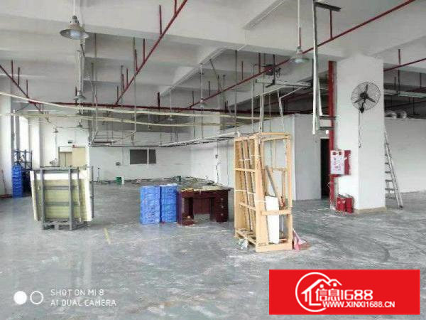 南栅15000平方仅租15元，带消防办公室适合注塑五金模具